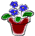 Icon for Houseplant Care