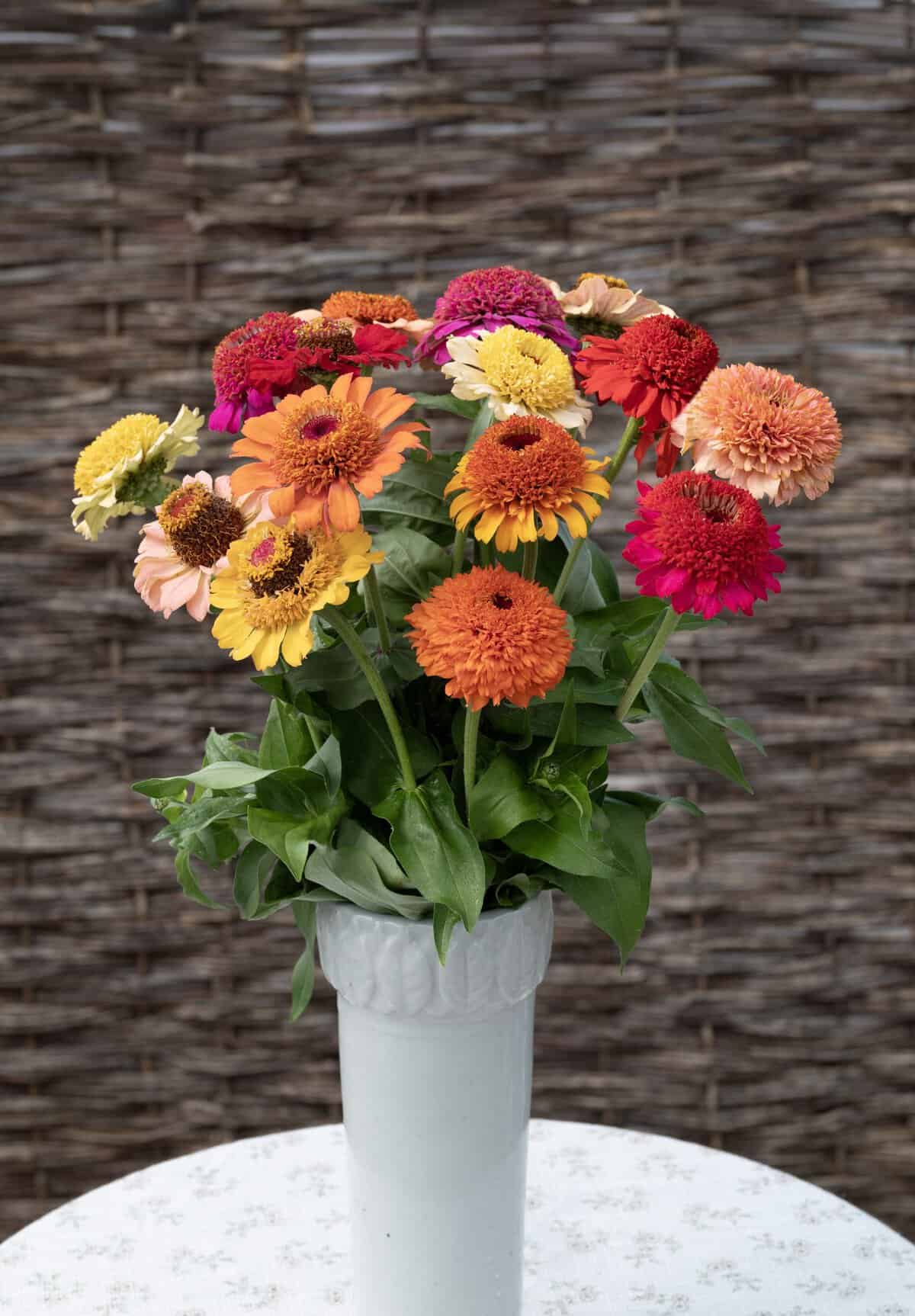 Bouquet of Crestar Mix zinnias featuring semi-double, crested blooms with prominent central discs in shades of pink, orange, red, white, peach, and yellow.