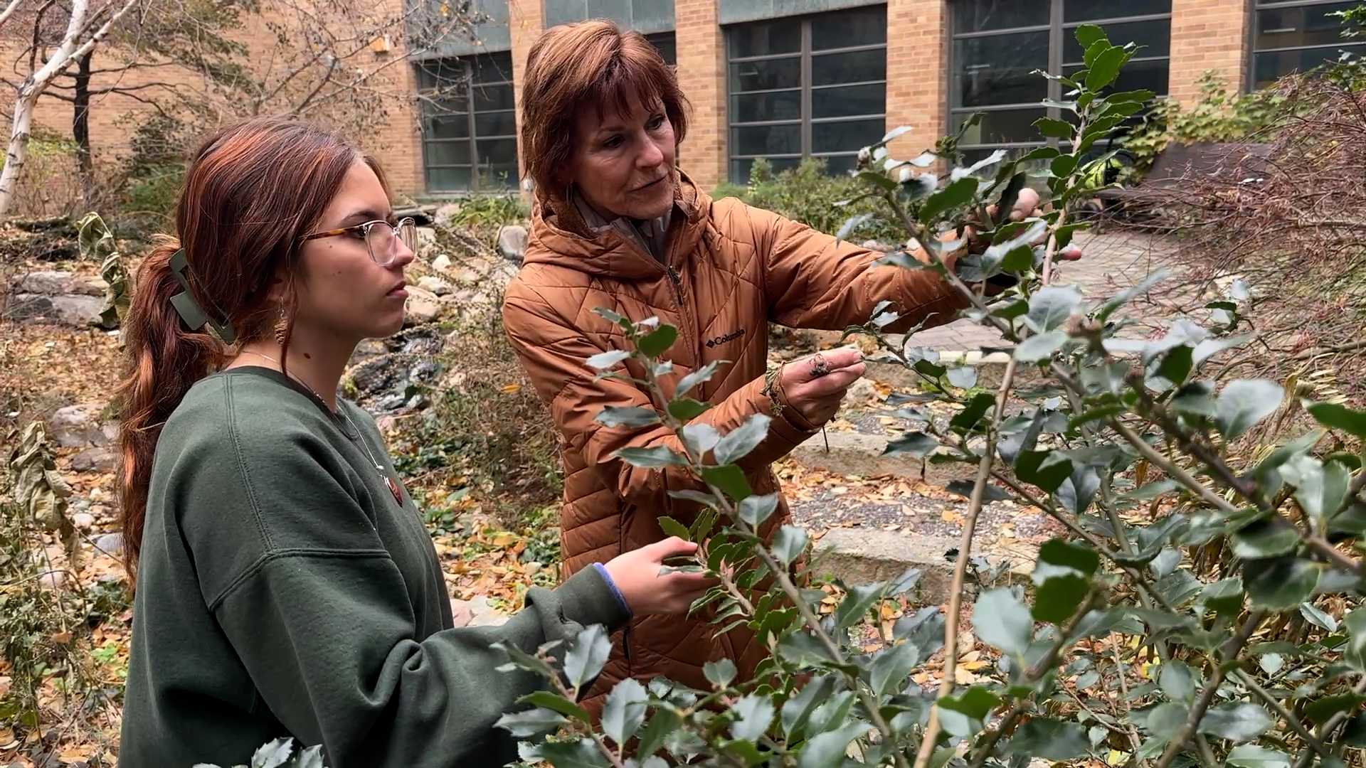 Ella Jorgensen and Kim Todd learning in the landscape