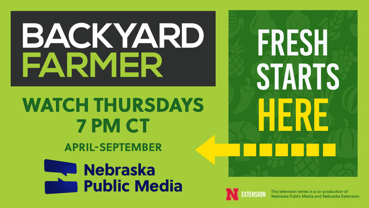 Watch Backyard Farmer Thursdays at 7pm CT