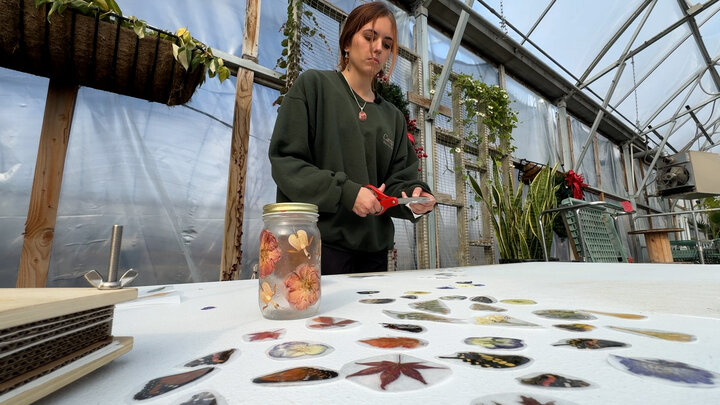 Ella making pressed flower stickers
