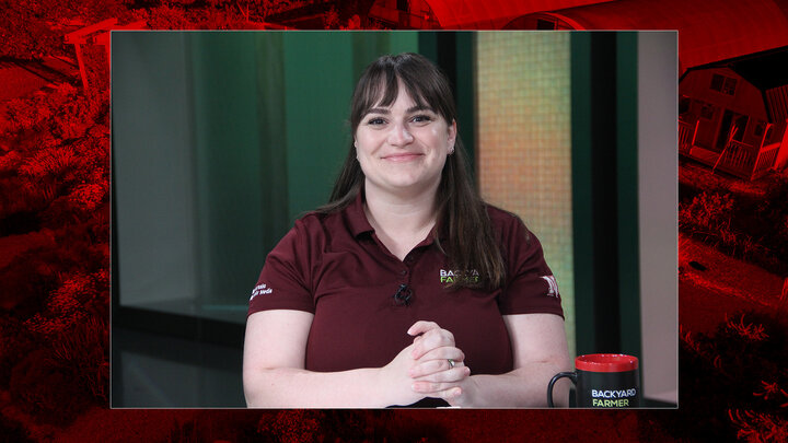 Kait Chapman Headshot