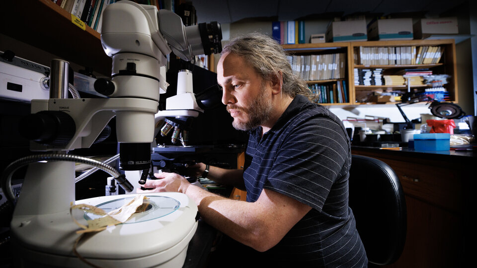 Kyle Broderick examining a plant sample