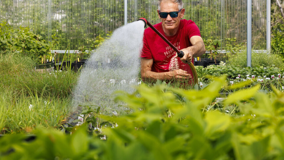 Man watering plants