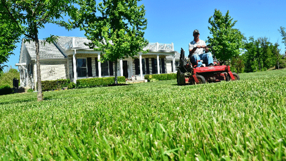 Lawn Mowing