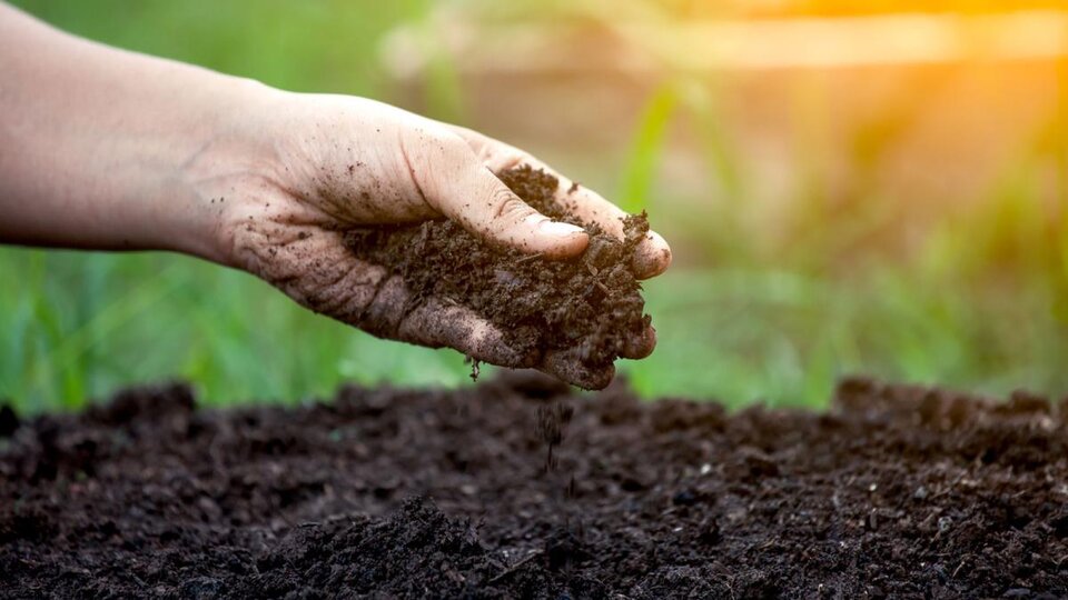 Soils & Compost