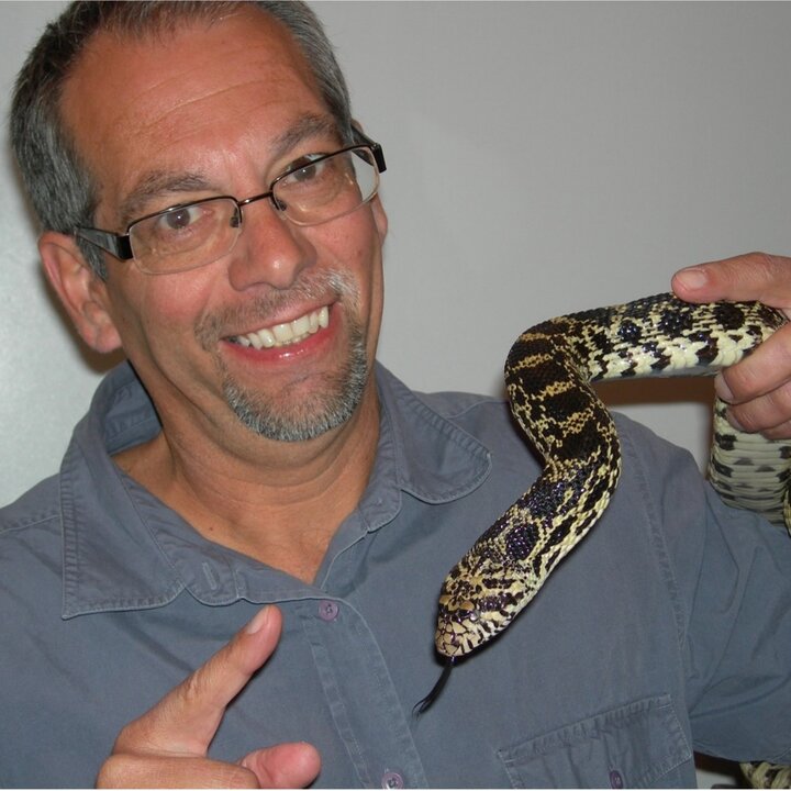 Avatar for Dennis Ferraro