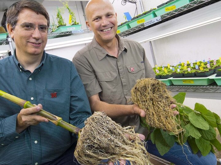 Plant Pathology Professors