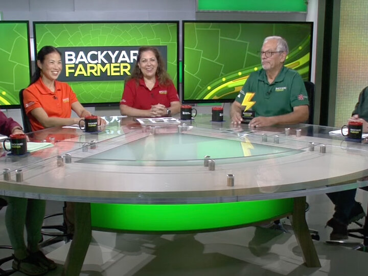 Backyard Farmer In Studio