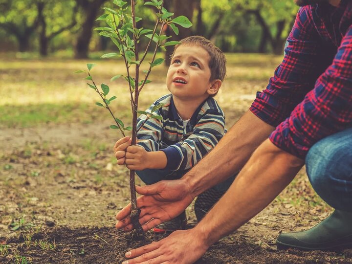 Kid Planting a tree with dad