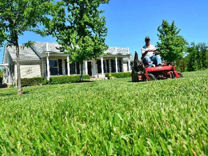 Lawn Mowing