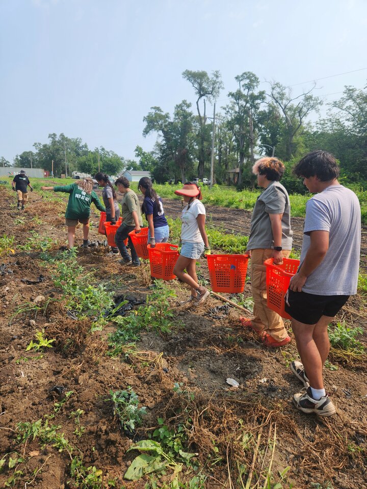 City Sprouts - Interns working in garden