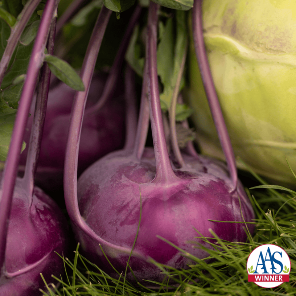 Kohlrabi